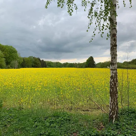 Apartament Mitten Im Dorf Worpswede