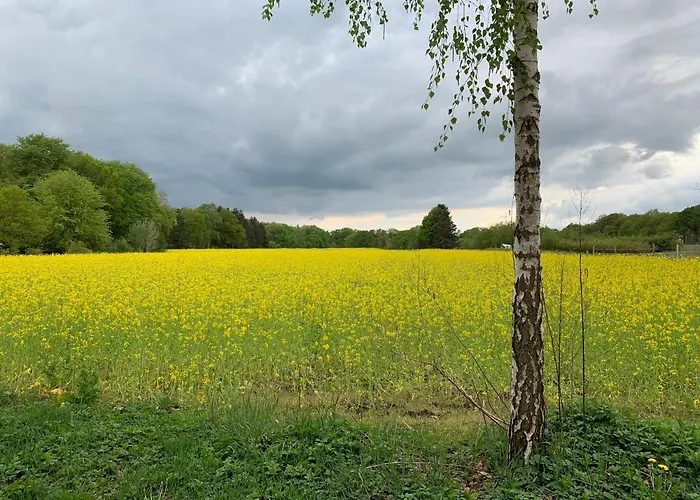 Apartmán Mitten Im Dorf Worpswede